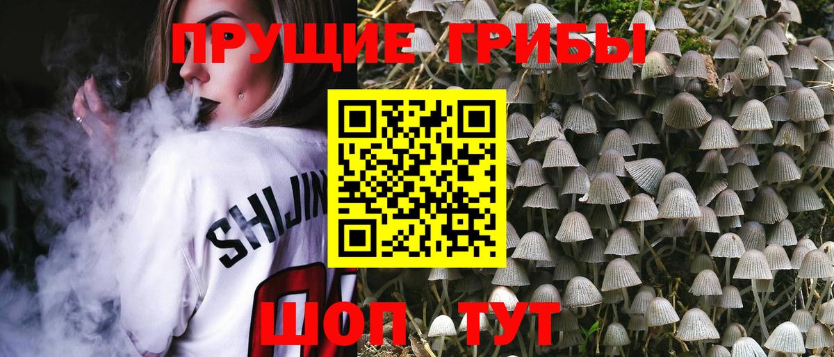 Псилоцибиновые грибы прущие грибы  Вход с VPN  Нягань 
